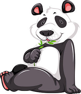 可爱的熊猫树叶叶子动物头发竹子犬形食肉鼻子哺乳动物食物图片