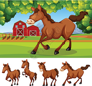 农场里的马姿势国家绘画谷仓场地夹子收成动物插图农民图片