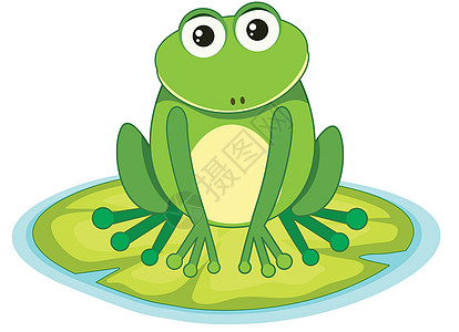睡莲上的青蛙植物百合绘画软垫绿色蟾蜍动物荒野野生动物艺术图片