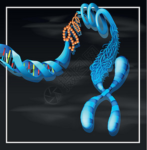 DNA 背景模板剪贴生物学遗传夹子生物艺术绘画科学化学药品图片