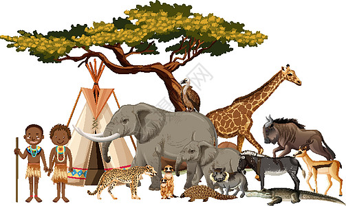 非洲部落与白色背景上的一群非洲野生动物卡通片荒野食肉团体环境生物生活收藏动物植物图片