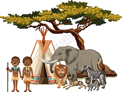 非洲部落与白色背景上的一群非洲野生动物哺乳动物食肉生物森林生活绘画捕食者荒野收藏卡通片图片