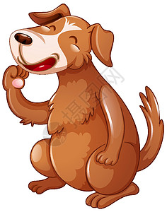 一只可爱的狗 在白色背景上有快乐的脸卡通人物卡通片情感绘画动物微笑宠物犬类生物艺术插图图片