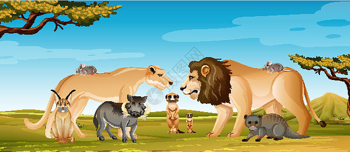 森林场景中的一群野生非洲动物生物生活公园绘画荒野丛林捕食者动物园食肉风景图片