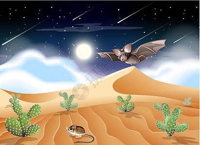 沙漠与沙山和仙人掌景观在夜景蝙蝠绘画动物岩石插图天空哺乳动物场景风景公园图片