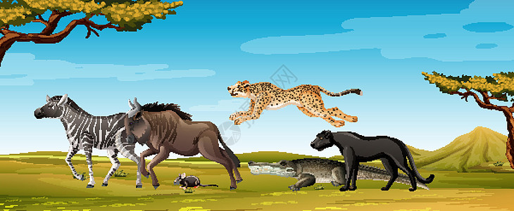森林场景中的一群野生非洲动物插图风景捕食者天空荒野丛林动物群场地绘画生活图片