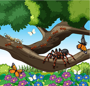 花园场景中有许多不同的昆虫环境插图瓢虫花瓣蝴蝶植物动物群哺乳动物卡通片生物图片
