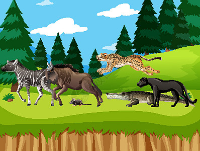 森林场景中的一群野生非洲动物场地生物野生动物大草原环境卡通片风景丛林插图动物园图片
