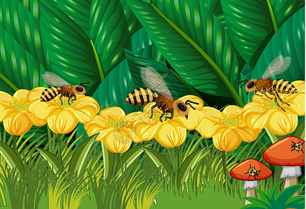 蜜蜂花丛特写花和叶子场景与许多蜜蜂花朵漏洞生物哺乳动物环境野生动物剪贴画植物绿色插图设计图片