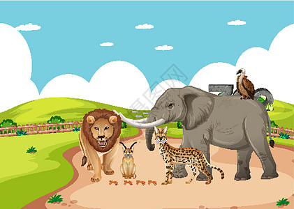 动物园场景中的一群野生非洲动物环境动物群插图风景天空卡通片生物食肉丛林公园图片