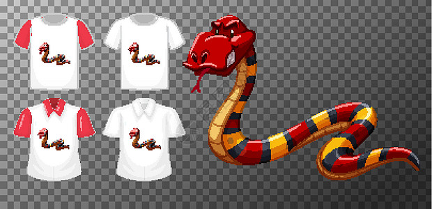 透明背景上有多种衬衫的红蛇卡通人物白色小样卡通片红色插图动物展示马球爬虫孩子图片