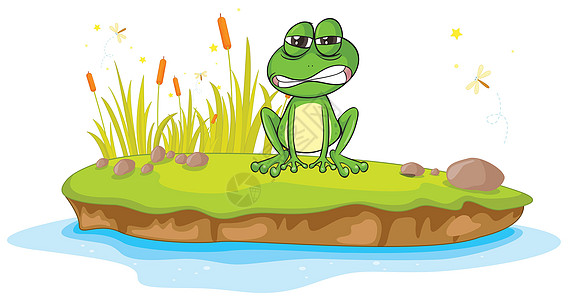 一只青蛙和一只水草地绘画生物眼睛情绪荒野昆虫池塘剪贴蜻蜓图片