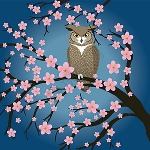 大角猫头鹰在一棵鲜花树上图片