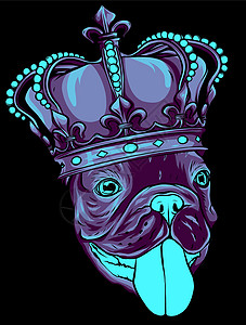 矢量狗插画国王在黑色背景上图片
