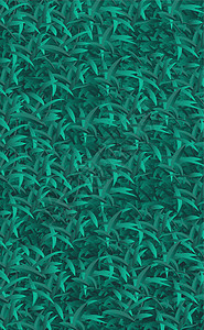 现实的黑暗绿草 草原背景     矢量横幅墙纸太阳蝴蝶草本植物花瓣植物洋甘菊天空场地图片