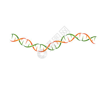 DNA 标志矢量药品技术原子螺旋生物学克隆生物细胞基因组插图图片