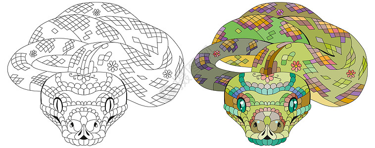 Zentangle 蛇 手绘装饰矢量图绘画纠纷店铺插图艺术禅绕爬行动物涂鸦荒野成人图片