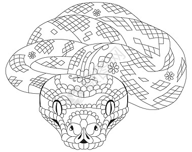 Zentangle 蛇 着色素的手绘装饰矢量图图片