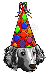 节日海报 戴着派对帽的小猎犬 矢量图庆典卡通片周年标识纪念日草图帽子纸屑宠物艺术图片