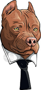 比特犬头与领带矢量图设计绘画家庭爸爸艺术男人问候语宠物插图邀请函套装图片