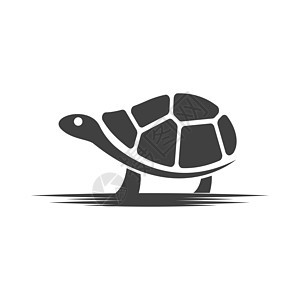 乌龟动物卡通 ico插图灭绝脚蹼生态海洋水龟住宅生物生活海龟图片