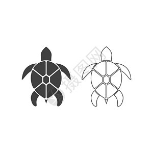 乌龟动物卡通 ico灭绝脚蹼网站海洋海滩生态住宅插图移民生活图片