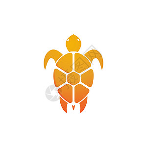 乌龟动物卡通 ico生活生态插图灭绝甲壳生物网站水龟海龟海滩图片