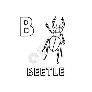 矢量可爱卡通动物字母表 甲虫彩页图片