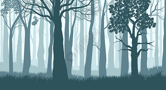 有雾的森林 迷雾森林中树木的轮廓 深蓝色景观 韦克托图片
