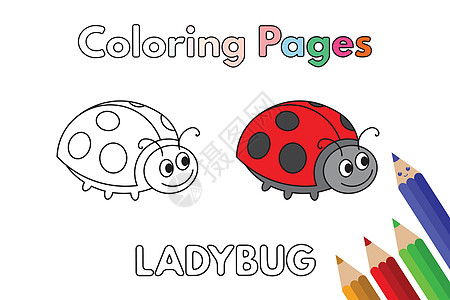 卡通丽虫彩色书英语瓢虫铅笔艺术品动物群幼儿园语言动物乐趣卡通片图片