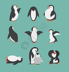 不同姿势组装的可爱企鹅字符喜悦装饰动物婴儿宠物收藏哺乳动物玩具假期乐趣图片