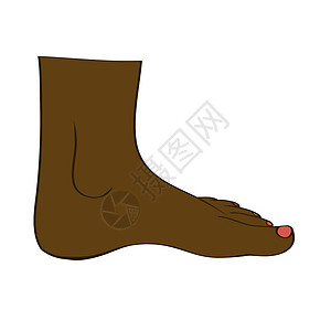 脚在 vecto身体护理解剖学美甲指甲油卫生皮肤美丽赤脚产品图片
