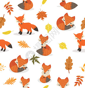 不同的可爱狐狸姿势树叶状图案图片