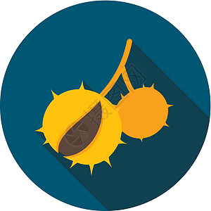 长阴影的栗子平板图标插图多刺小吃种子美食棕色感恩收获坚果食物图片
