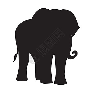 大象 手绘草图 笔画动物收藏卡片旅行艺术厚皮卡通片耳朵哺乳动物绘画图片