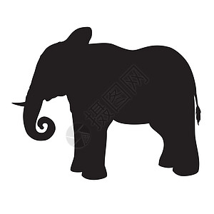 大象 手绘草图 笔画动物园哺乳动物树干动物厚皮卡通片插图收藏荒野耳朵图片