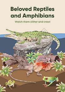 带有爬行动物和两栖动物概念 水色风格的海报模板插图爬虫动物园蜥蜴小册子异国尾巴情调水彩动物群图片