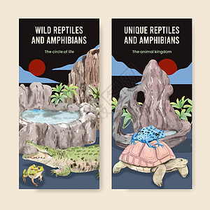具有爬行动物和两栖动物概念 水色风格的飞板模板异国广告营销热带爬虫情调青蛙动物园插图冷血图片