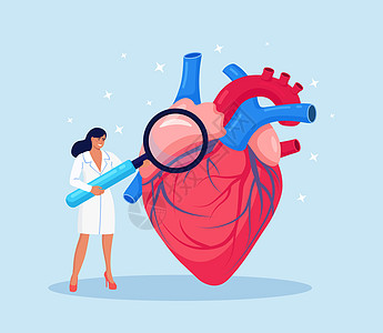心脏病学 检查心脏健康和心血管压力 心脏病专家用放大镜研究人体器官 循环系统并发症 缺血性心脏 冠状动脉疾病脉冲考试有氧运动监视图片