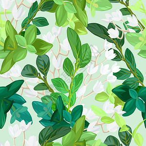 手画了新鲜的春天无缝图案 花的背景设计配有绿色叶子 辅助植物和白百合花 矢量 I 说明晴天纺织品织物墙纸森林婚礼花园生态周年插图图片