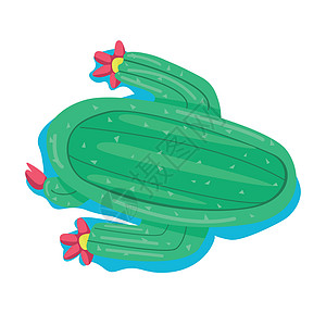 Cactus 形状空气床垫半平板彩色矢量物体图片