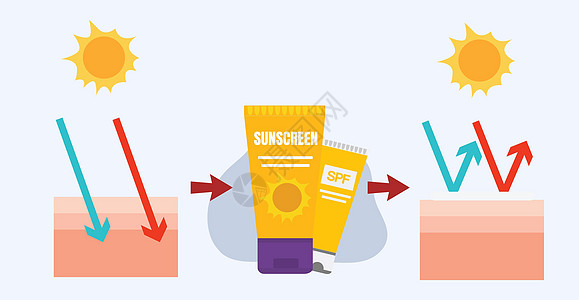 防晒 护肤概念 防晒霜 防晒霜的矢量图 在皮肤层上使用防晒产品之前图片