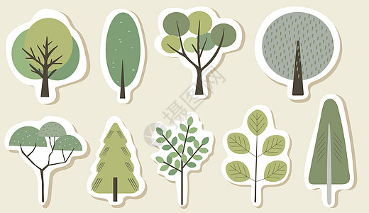 不同的树木绘画叶子生长环境树干公园团体生态花园植物植物学图片