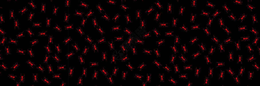 矢量Ants 无对称模式墙纸蚊子蜘蛛踪迹植物白蚁昆虫野生动物团队插图图片