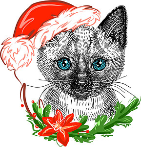 插图 圣诞圣诞老人戴可爱的西姆斯小猫帽子 用现实的风格涂鸦图片