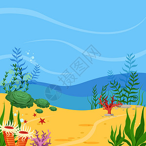 海洋沙地 有珊瑚和植物;水下景观背景图片