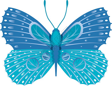 异形蓝蝴蝶 高丽翅膀装饰性飞蛾图片