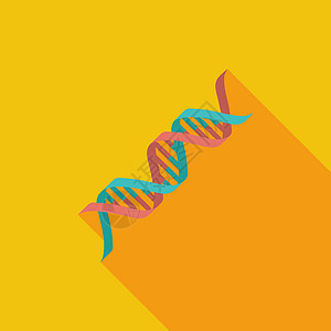DNA 图标病毒性药品科学螺旋生物学遗传测试保健细胞卫生图片