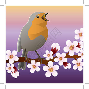 春鸟坐在开花枝上 矢量插图花瓣艺术花园荒野枝条野生动物卡通片植物音乐季节图片
