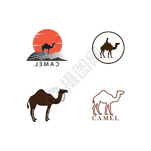 骆驼徽标荒野沙漠旅行标识哺乳动物插图沙丘大篷车运输艺术图片